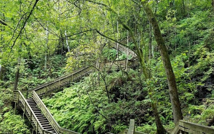 Devil's Millhopper Geological State Park, Florida, USA